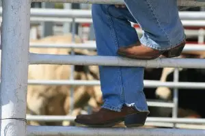 Podiatrist Lone Tree CO - Causes of Bunions